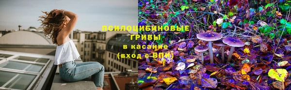 кокс Баксан