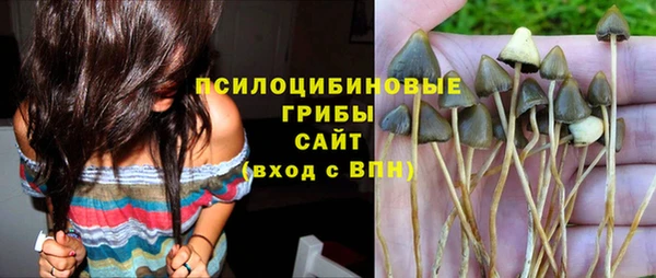 кокс Баксан