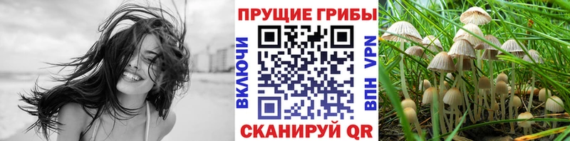 Галлюциногенные грибы прущие грибы  купить   Красный Холм 